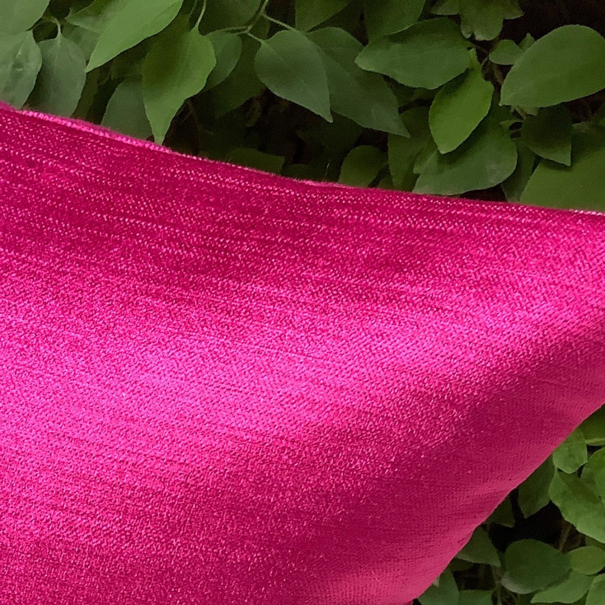 Katha in Fuchsia - Studio Covers