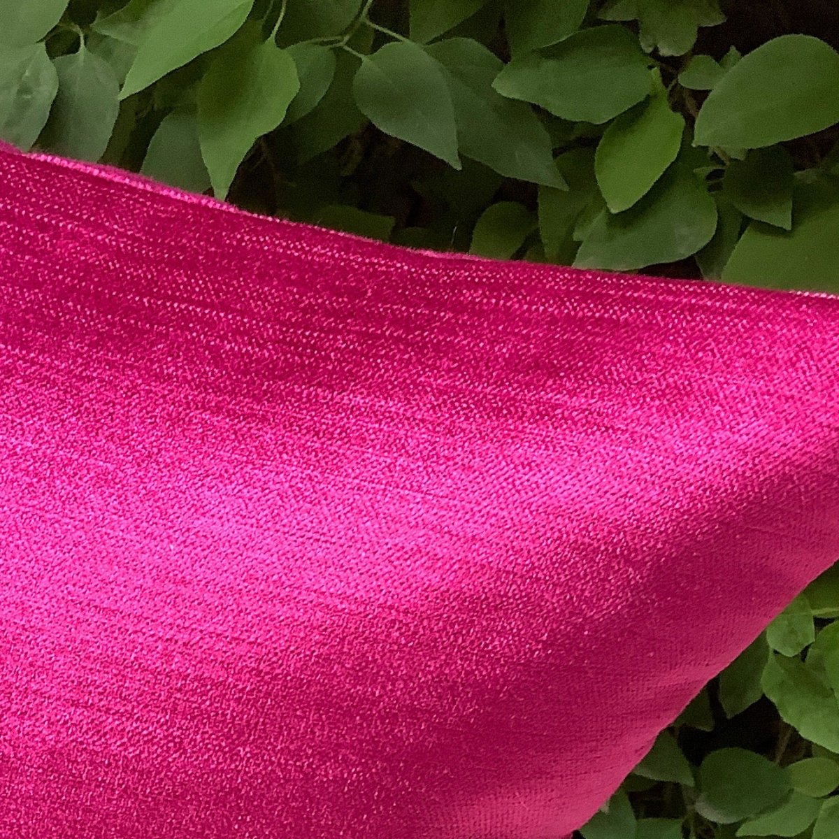 Fuchsia - Studio Covers