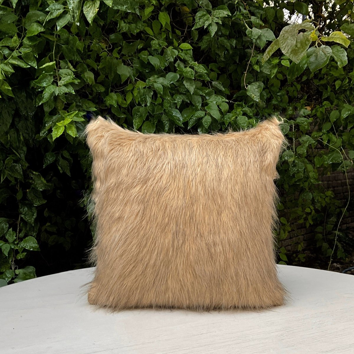 Fur with Love in Camel - Studio Covers