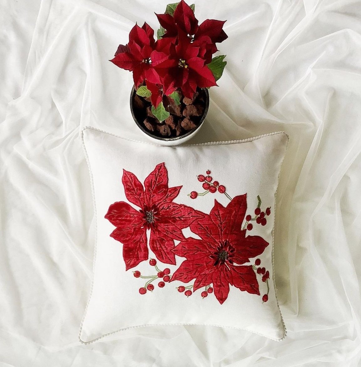 Poinsettia - Studio Covers